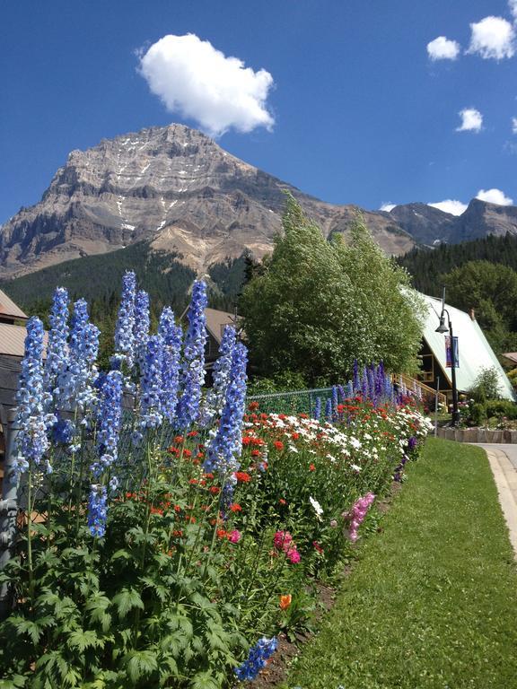 Canadian Rockies Inn - Adults Only フィールド エクステリア 写真