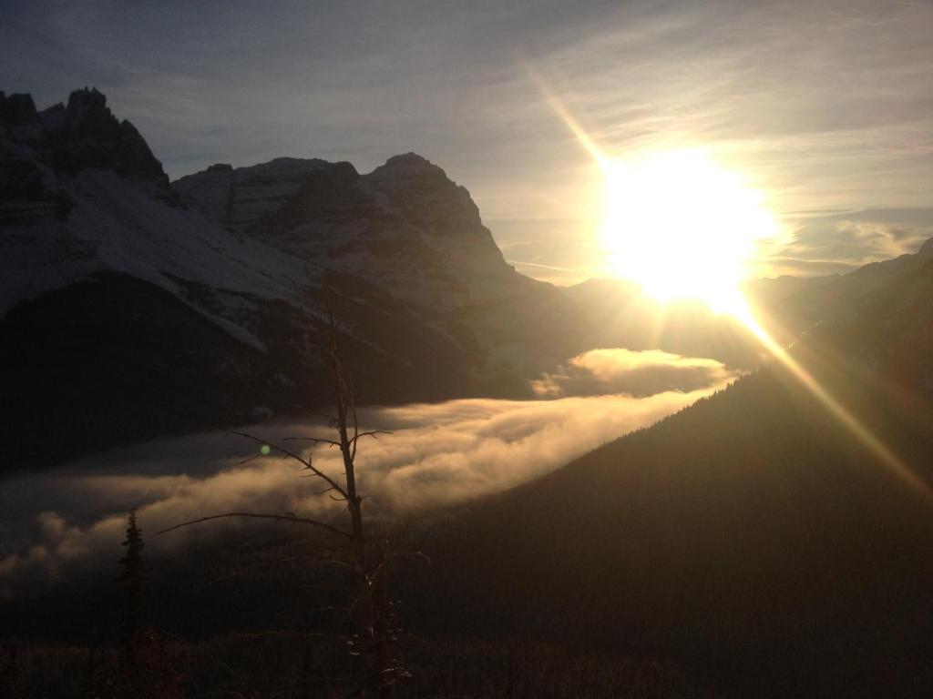 Canadian Rockies Inn - Adults Only フィールド エクステリア 写真